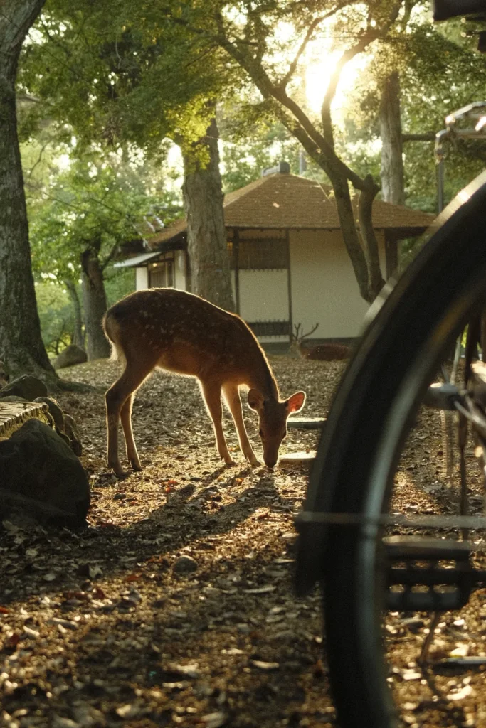 Cerf se tenant sous les arbres du parc de Nara, lumière filtrée par le feuillage