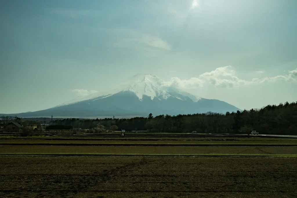 Mont Fuji enneigé au-dessus d'une forêt et de champs labourés sous un ciel voilé, Japon