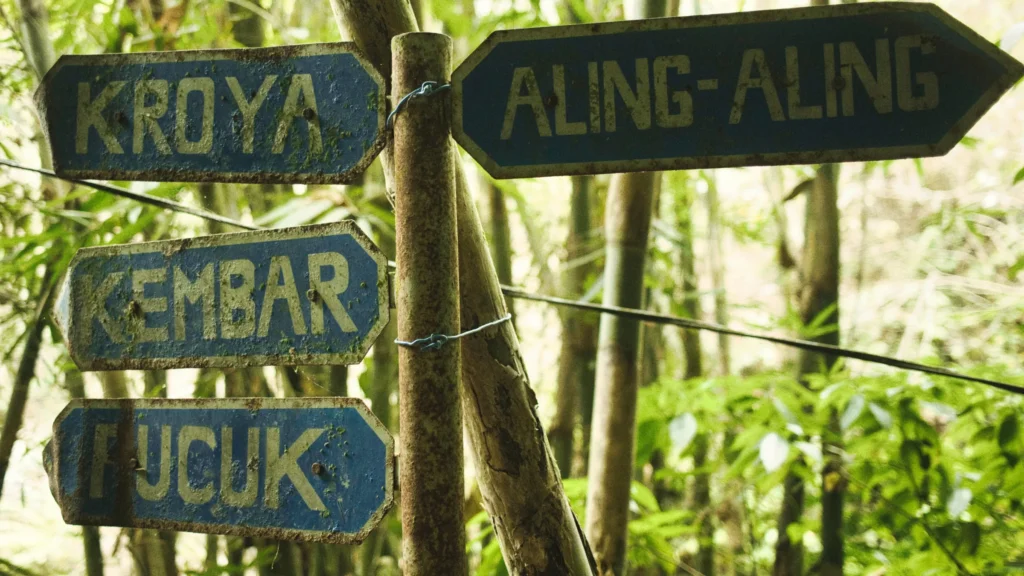 Panneaux de signalisation en bois indiquant plusieurs directions dans une forêt de bambous à Sambangan, Bali