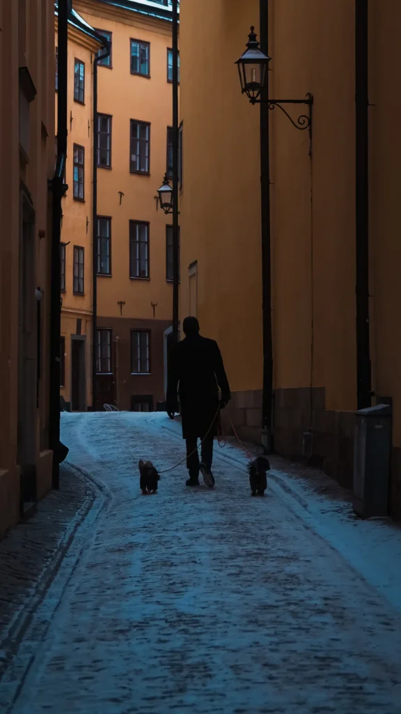 Silhouette d'un homme promenant deux petits chiens en laisse dans une ruelle pavée enneigée, façades ocres et lampadaires de la Gamla Stan