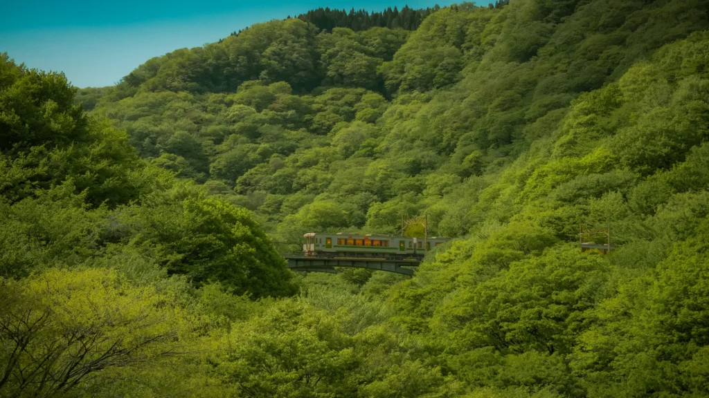 Petit train traversant un pont dans une vallée couverte d'une forêt verte au printemps