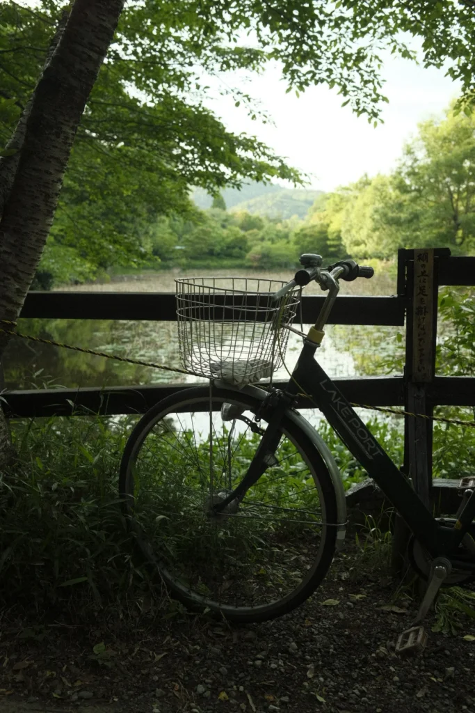 Vélo avec panier posé contre une barrière en bois au bord d'un lac entouré d'arbres, Japon